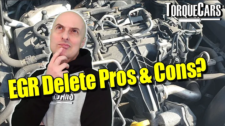 EGR Delete? Pros & Cons of EGR Off vs On? Benefits & Drawbacks With & Without EGR