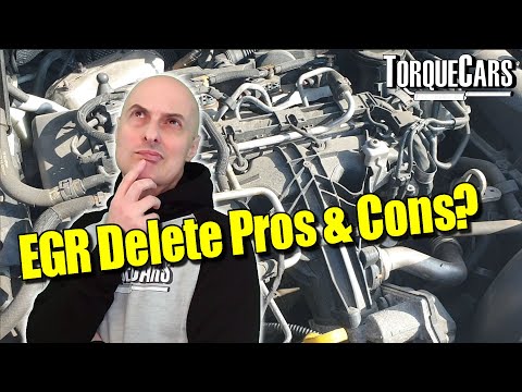 Egr Delete Meaning Car