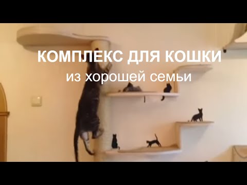 Комплекс для кошки Триши