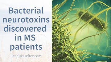 MS RESEARCH - Bacterial neurotoxins discovered in MS patients  | Pam Bartha