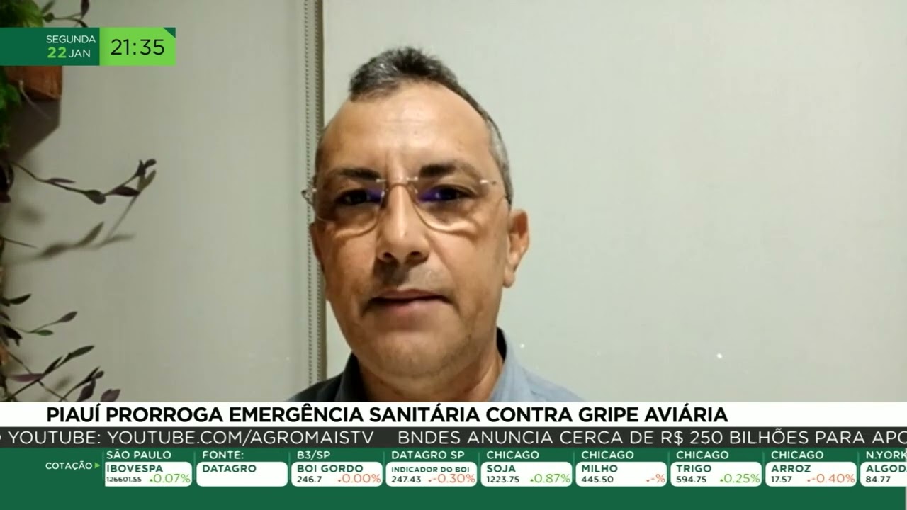 Piauí prorroga emergência sanitária contra gripe aviária