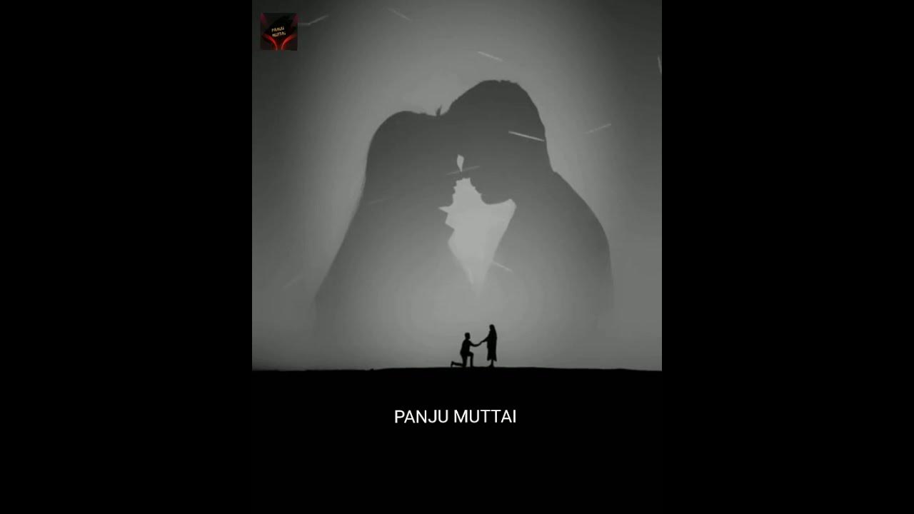 #vijay #amalapaul Thalaiva - Yaar Indha Saalai Oram Song🎶 - G.V.Prakash - What's App Status😇 -