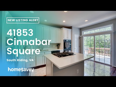 41853 Cinnabar Square, Aldie, VA home video tour
