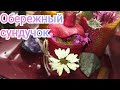 Волшебный сундучок ☺️💫🎁