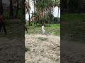 Desi cricket😂#viral#explore#cricket#funny#comedy #shorts#villagelife#youtube #reelsindia#viralreels
