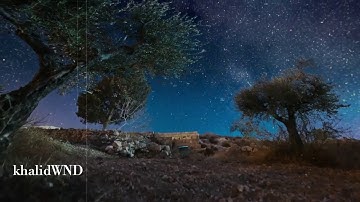 نوادر / تلاوة خاشعة للشيخ سعد الغامدي سورة الزمر