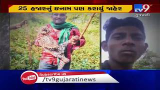 Case of miscreants torturing leopard cub; Forest dept announced cash reward for info | Junagadh