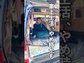 車上生活、やめ時かも... #日本一周 #軽バン #車中泊 #vanlife #バンライフ#車中泊女子 #SUBARU #サンバー #shorts