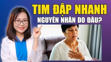 Tại Sao Tim Đập Nhanh? | Bác Sĩ Huyền