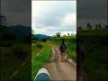 tempat yg ga mewah,sawah yang menenangkan hati #hidupdidesa #sawah #suasanapedesaan #rural