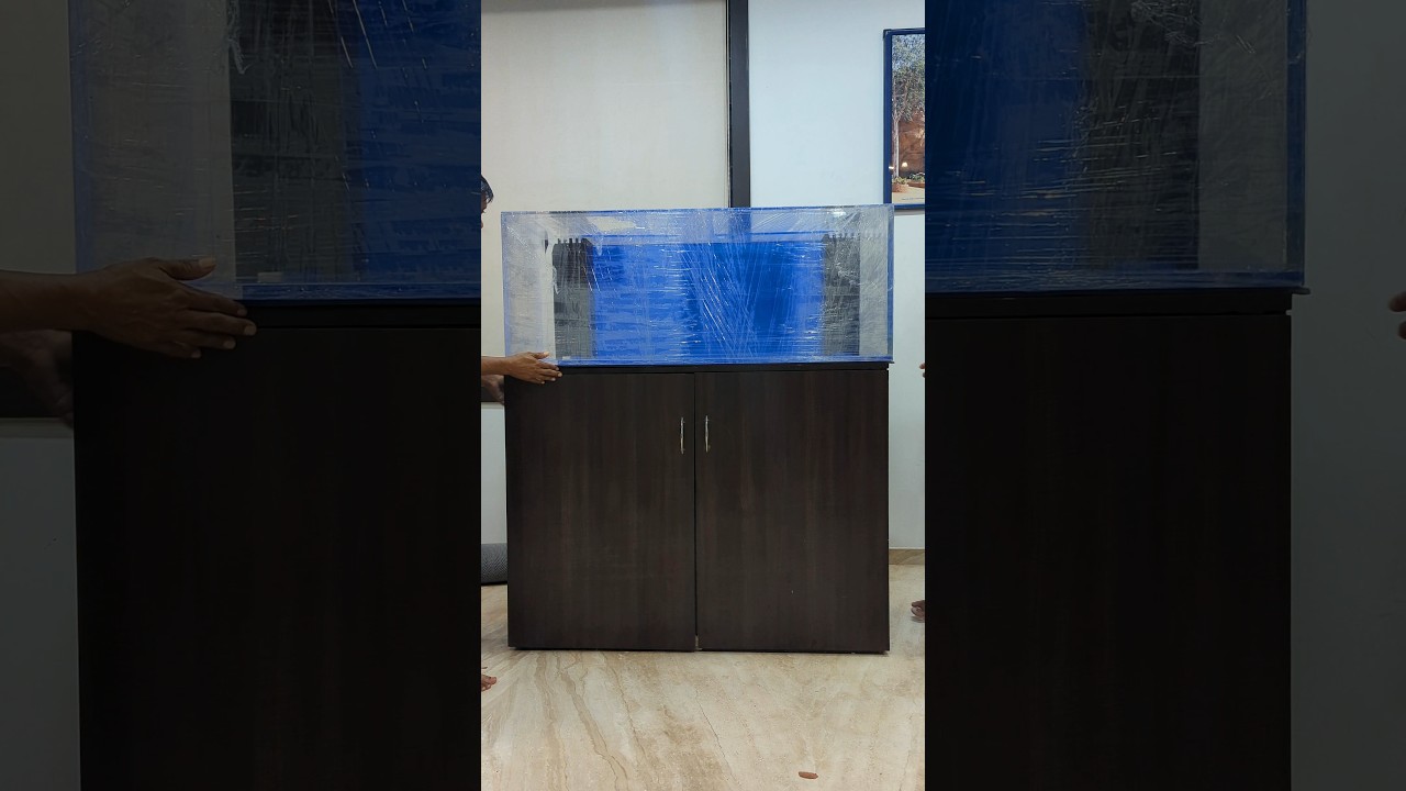 Goldfish tank setup for Client 