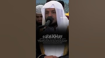 سورة فاطر بصوت القارئ الشيخ هيثم الدخين ❤