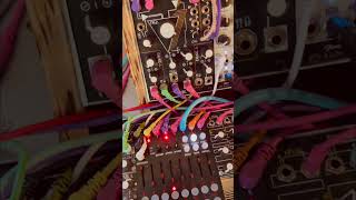 Sampling My Vocal VS Sampling Vinyl