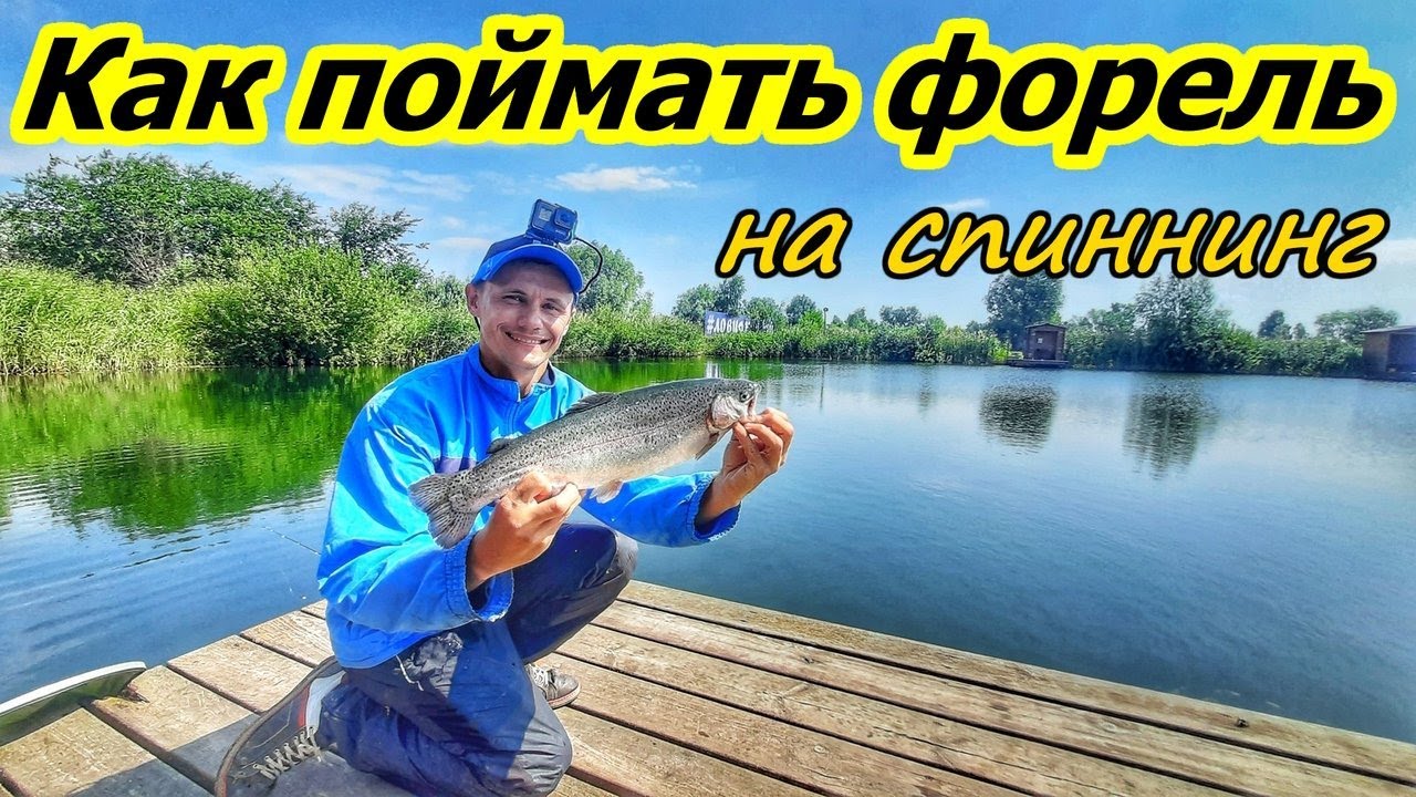 ФОРЕЛЬ/ЛОВЛЯ ФОРЕЛИ НА ПЛАТНИКЕ/САМАРСКАЯ ОБЛАСТЬ, ХРЯЩЁВКА