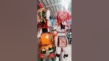 राजस्थान के लोकदेवता श्री बाबा रामदेव जी के घोड़े # जय बाबा री