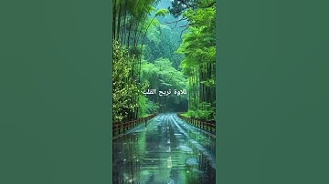 تلاوة خاشعة تريح القلب إستمع #اكسبلور #المغرب #المصحف