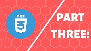 Beginner's Guide To CSS | Part 3