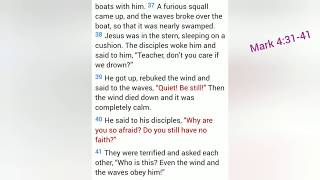 Digging Deeper Mark 4: 31-41 #havefaith