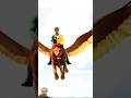 udne bala lion #lion #funny #entertainment #fun #experiements #comedyskits #comedy #short#trending