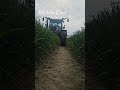 Riccic farmvlog farmlife fy agriculture fendt rogator 344