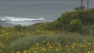 San Diego Winter Storm - Noon update | High wind, surf and the latest from the SD airport