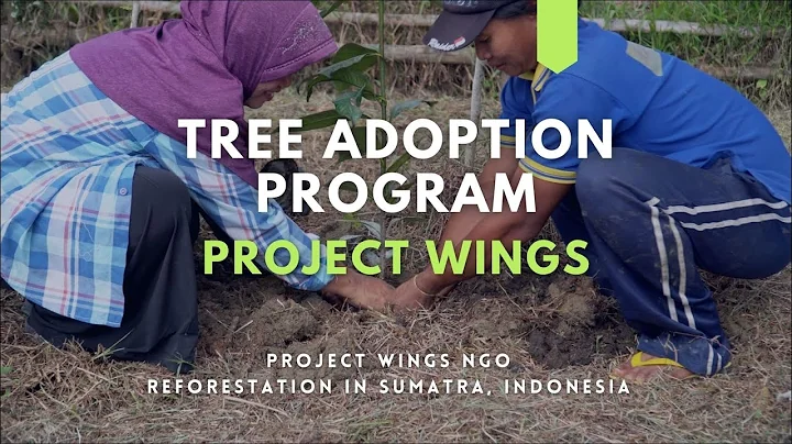 Tree Adoption Program in Sumatra by Project Wings ...