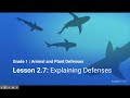 Defensive Strategies in Plants and Animals