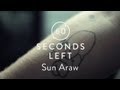 Sun Araw Shows Off Simpson Tattoo - 60 Seconds Left