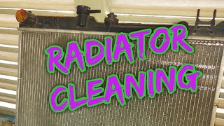 Radiator Cleaning