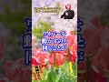 神様からの言葉を受け取る為の８つの言霊 #斎藤一人 #shorts