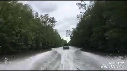 cano đi Đất Mũi