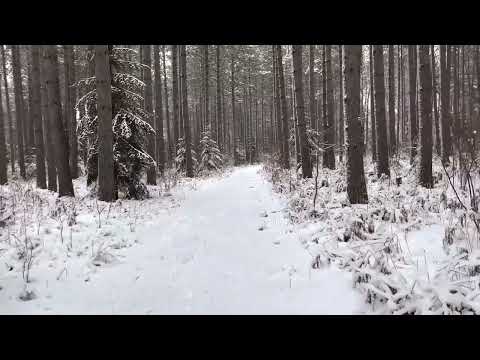 Clair de lune in the snowy woods (Piano Improv)
