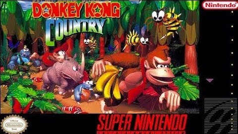 Donkey Kong Country cheat codes