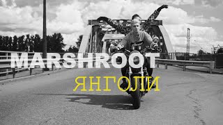 Marshroot - Янголи(Official Lyric Video 2023)