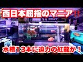 【お宅訪問】西日本屈指のマニア宅訪問！アロワナ水族館が目標⁉︎#アロワナ #水槽部屋 