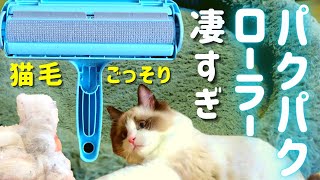 【最強コロコロ】ぱくぱくローラーで抜け毛掃除！毛玉やゴミもとれるかラグドール猫部屋で検証！