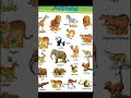 Learn Animal Names for Kids! 🦒🦁 Wild Animals Vocabulary #shortsfeed