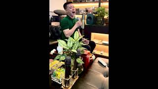 Download Lagu Check sound set karaoke cực hay - 5.S Audio MP3