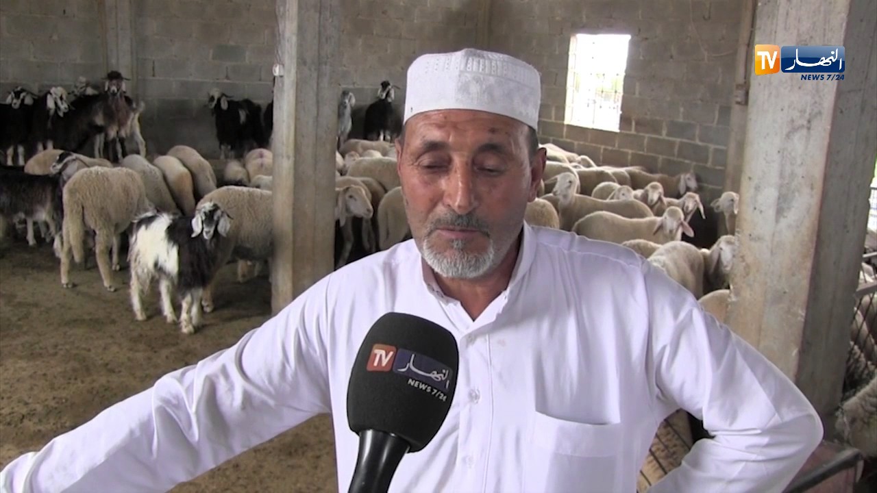 أم البواقي:  من المربي الى المستهلك..خطوة للحد من المضاربة