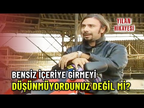 Kürşat, Geldi, Ortalık Kızıştı! - Yılan Hikayesi 41.Bölüm