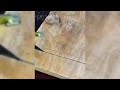 PRO WORKER USES RARE HOLE-SAW ENGINE TO PUNCH A PERFECT FLUSH CIRCLE ON CEILINGS!