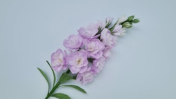 How to make Delphinium flowers from crepe paper / Paper Flower / Góc nhỏ Handmade