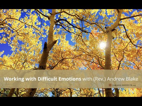 Working with Difficult Emotions through Mindfulness