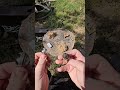 Did the vikings use this to start fire?Gotland Sphere/Visby lens follow-up #vikings #bushcraft