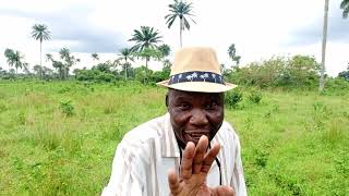 There Is Money In The Bush