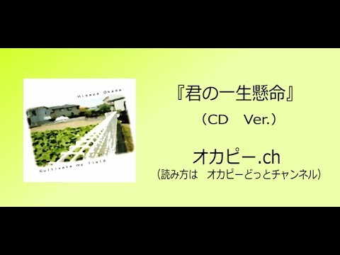 君の一生懸命（CD