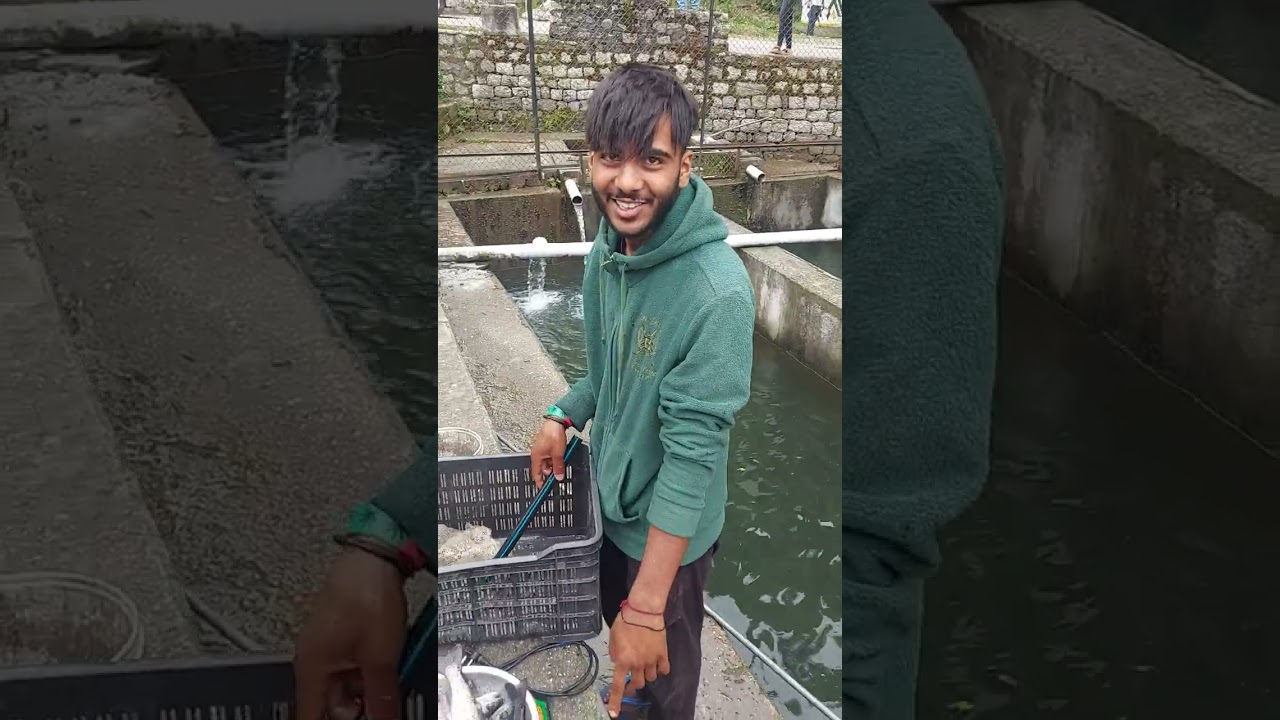 Trout Fish - Barot valley - Part 1- 10th June 2023