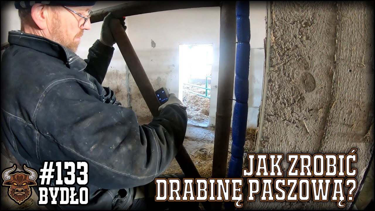 #133 Bydło opasowe - Jak zrobić drabinę paszową z rur dla bydła? Wymiary, patenty i spostrzeżenia.