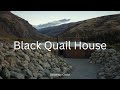Home of the Year 2021: Black Quail House