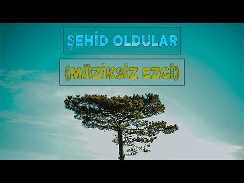 ŞEHİD OLDULAR (MÜZİKSİZ EZGİ)